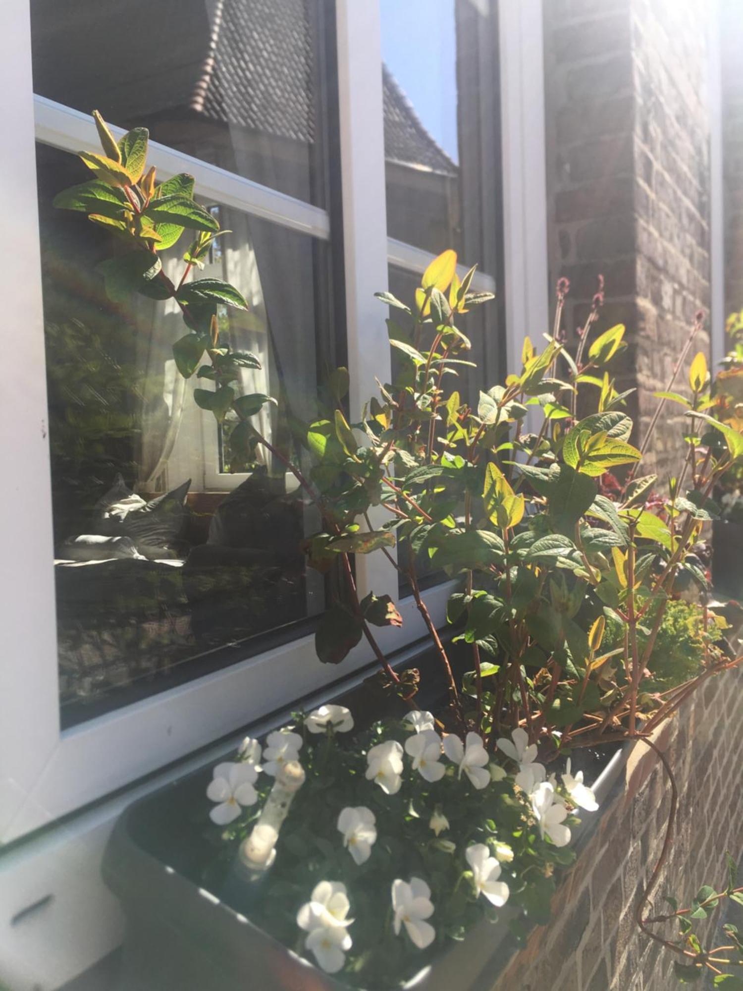 Bed and Breakfast Altes Pastorat Barmstedt Esterno foto