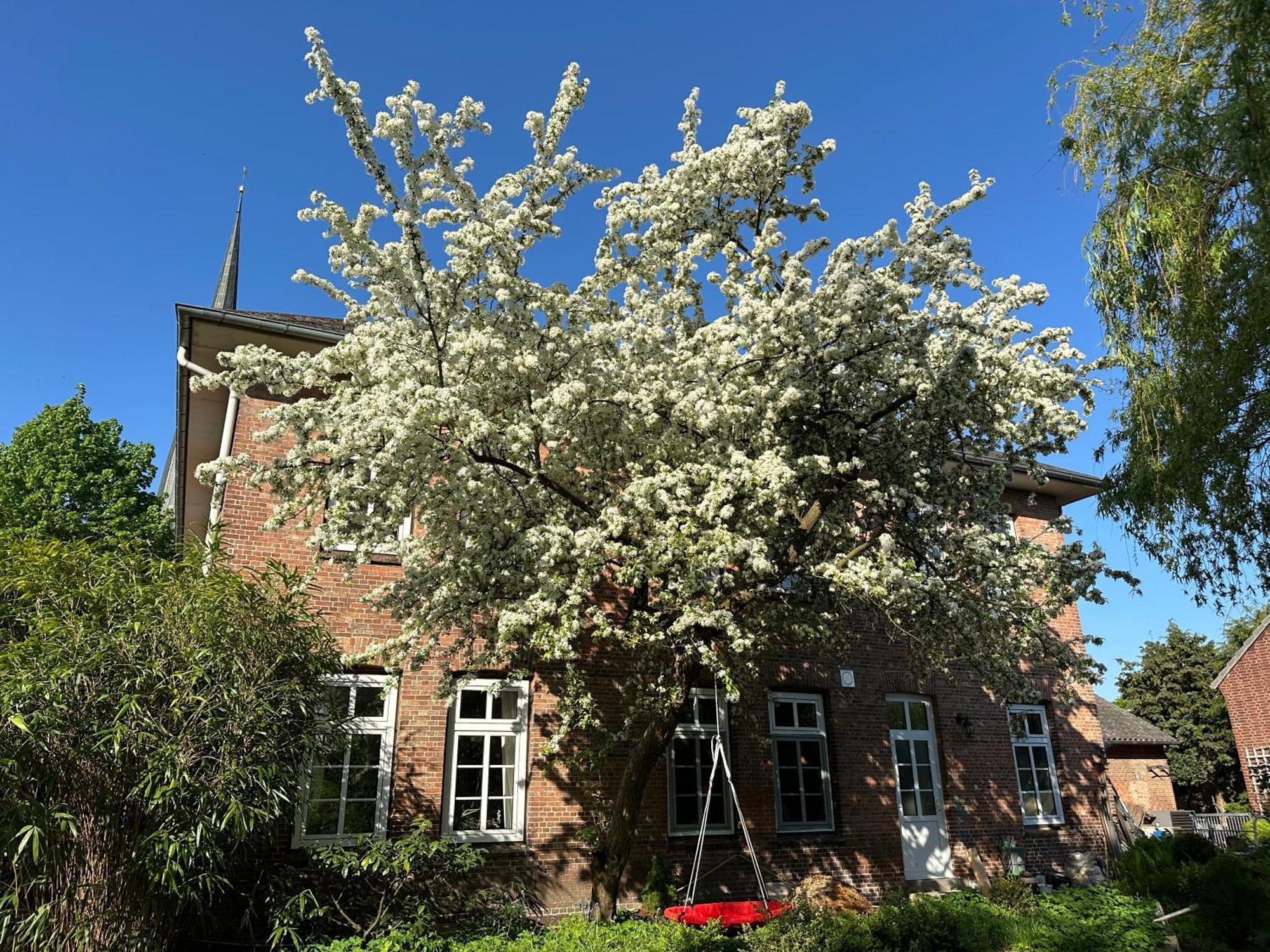 Bed and Breakfast Altes Pastorat Barmstedt Esterno foto